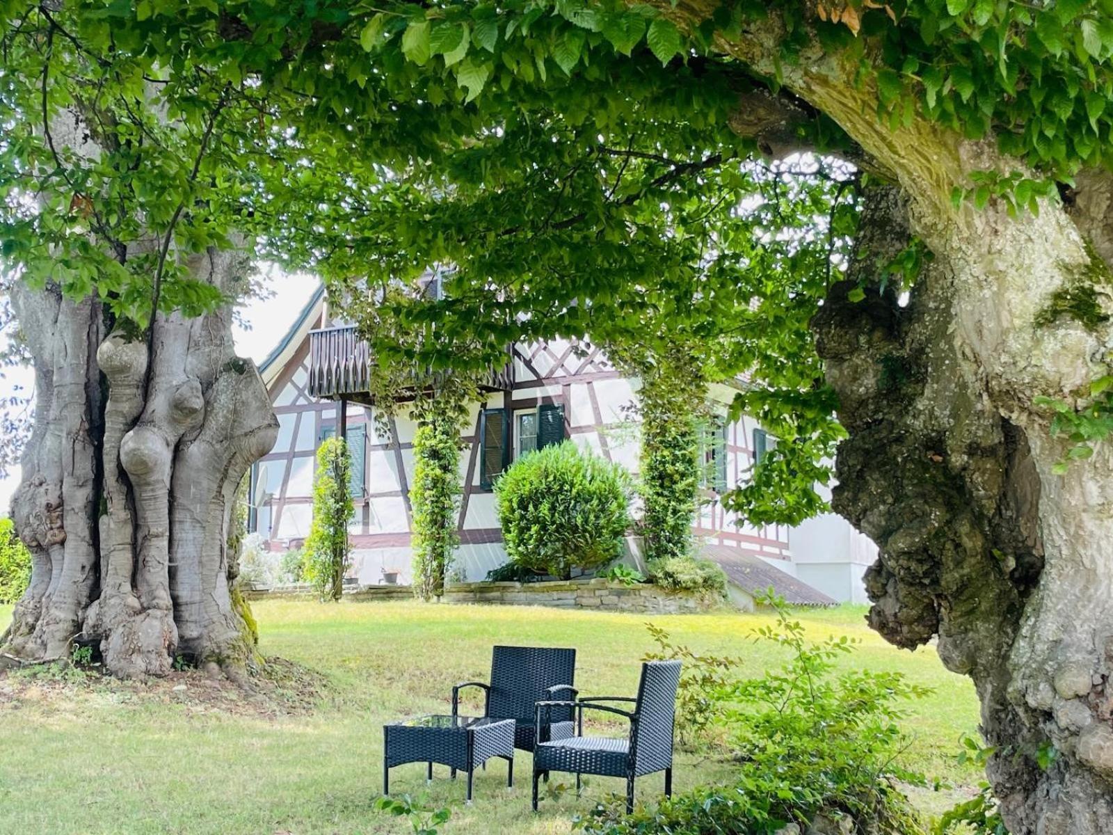 Appartement Villa Seeliebe Tägerwilen Exteriör bild